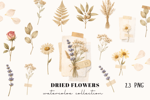 Dried Flowers Watercolor Collection: A Gentle Botanical Touch