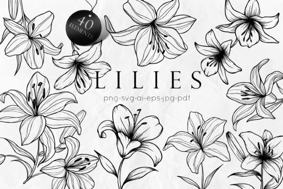 Elegant Botanicals: Integrating Lily Flowers Line Art SVG