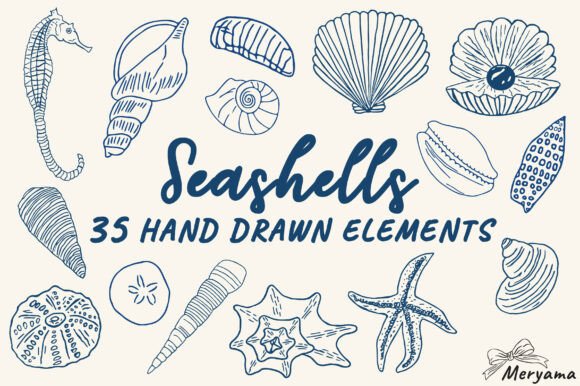 Hand Drawn Summer Seashell SVG PNG: Your Coastal Design Toolkit