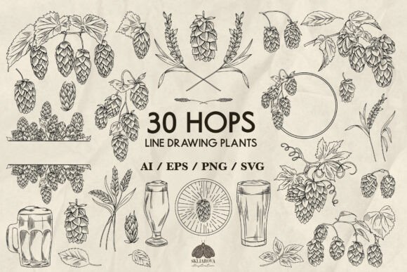 Hops Plant Line Drawing Svg Png Eps: A Designer’s Craft Toolkit