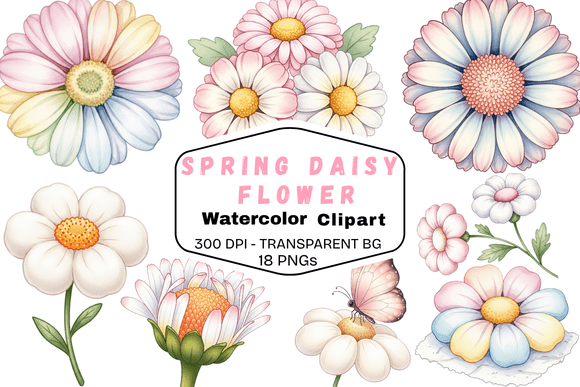Spring Daisy Flower Watercolor Clipart: A Fresh Design Collection
