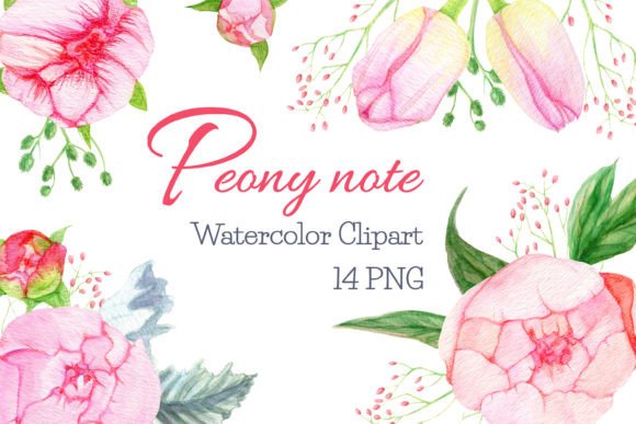 Watercolor Peonies Clipart: Florals for Every Project